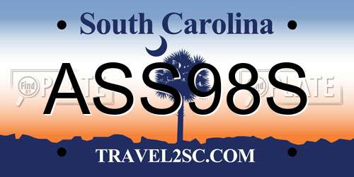 ASS98S South Carolina License Plate