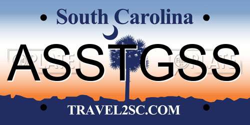 ASSTGSS South Carolina License Plate
