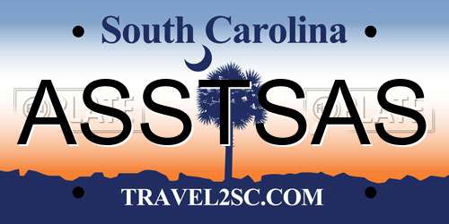 ASSTSAS South Carolina License Plate