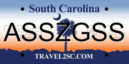 ASSZGSS South Carolina License Plate