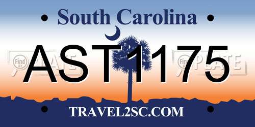 AST1175 South Carolina License Plate