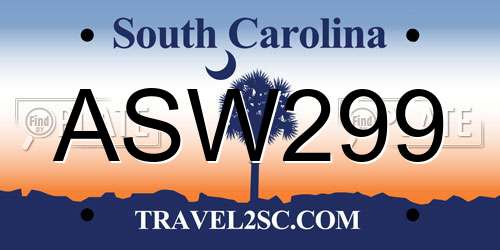 ASW299 South Carolina License Plate