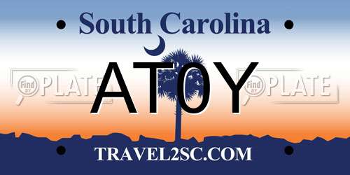AT0Y South Carolina License Plate