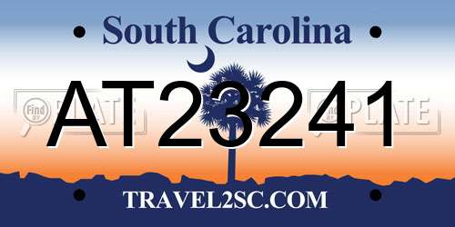 AT23241 South Carolina License Plate