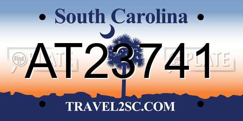 AT23741 South Carolina License Plate