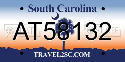 AT58132 South Carolina License Plate
