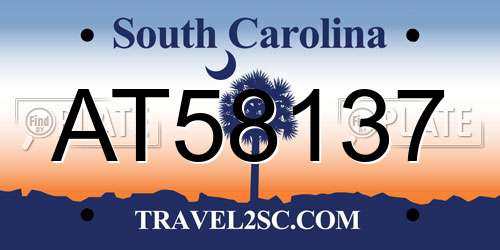 AT58137 South Carolina License Plate