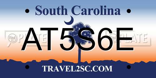 AT5S6E South Carolina License Plate
