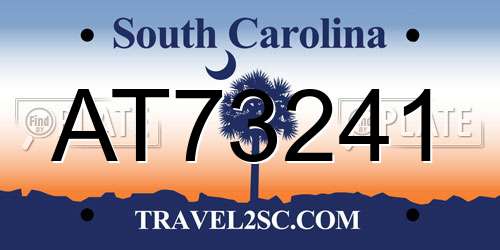 AT73241 South Carolina License Plate