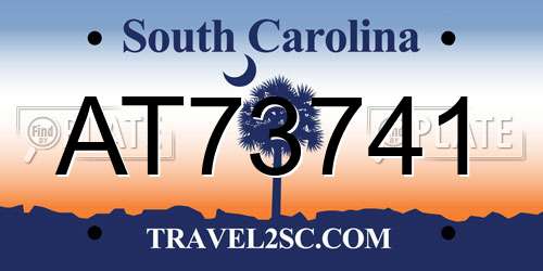 AT73741 South Carolina License Plate