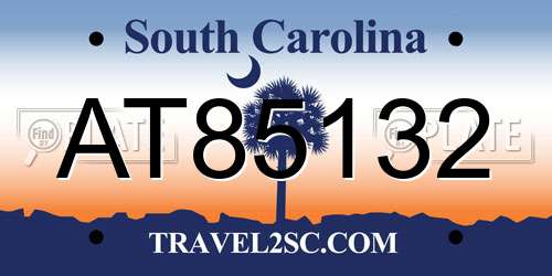 AT85132 South Carolina License Plate