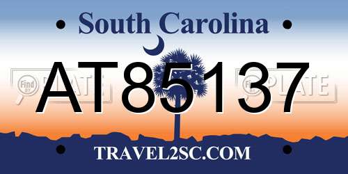 AT85137 South Carolina License Plate