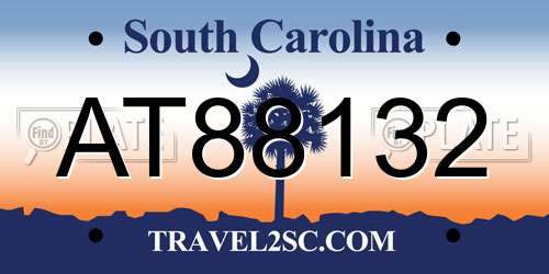 AT88132 South Carolina License Plate