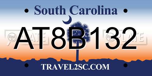 AT8B132 South Carolina License Plate