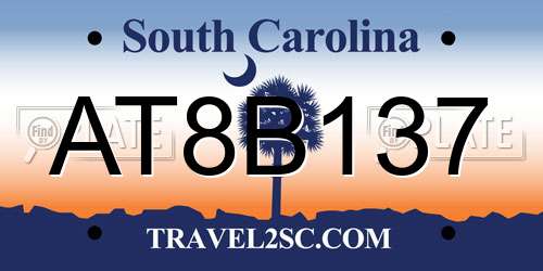 AT8B137 South Carolina License Plate