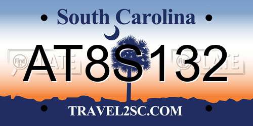 AT8S132 South Carolina License Plate