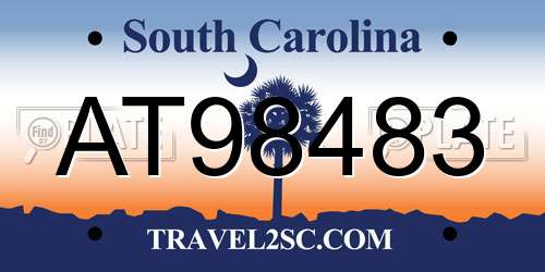 AT98483 South Carolina License Plate