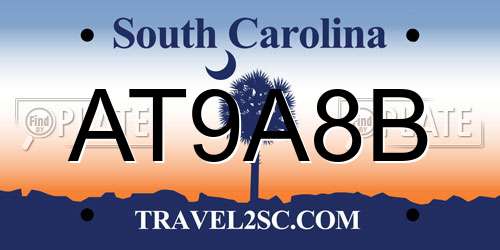 AT9A8B South Carolina License Plate
