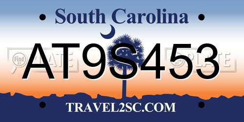 AT9S453 South Carolina License Plate