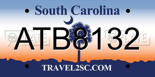 ATB8132 South Carolina License Plate