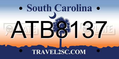 ATB8137 South Carolina License Plate
