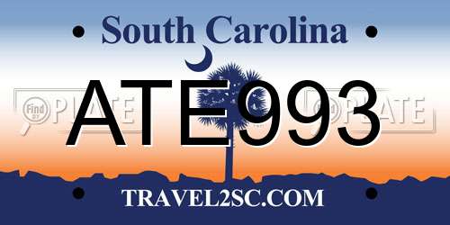 ATE993 South Carolina License Plate