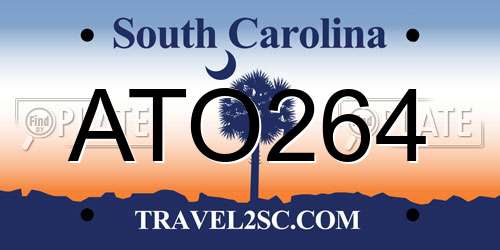ATO264 South Carolina License Plate