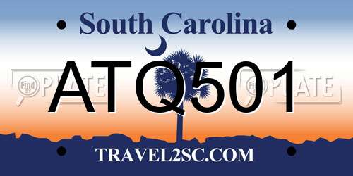 ATQ501 South Carolina License Plate