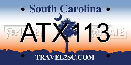 ATX113 South Carolina License Plate