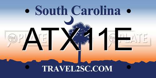ATX11E South Carolina License Plate