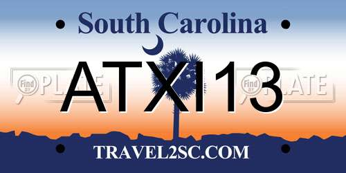 ATXI13 South Carolina License Plate