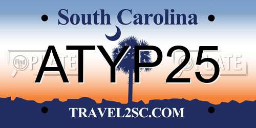 ATYP25 South Carolina License Plate
