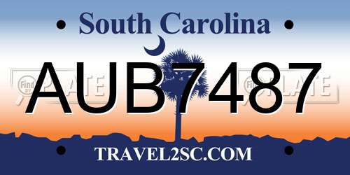 AUB7487 South Carolina License Plate