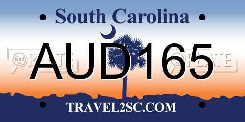 AUD165 South Carolina License Plate