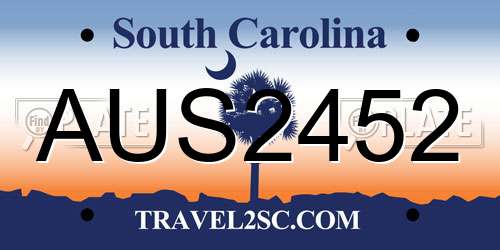 AUS2452 South Carolina License Plate