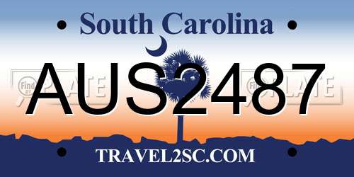 AUS2487 South Carolina License Plate