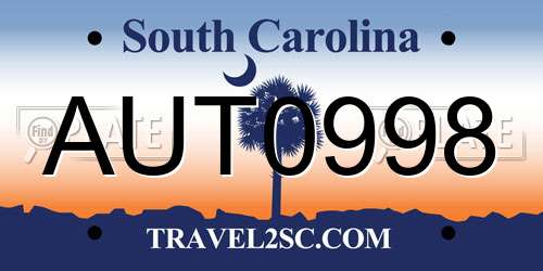 AUT0998 South Carolina License Plate