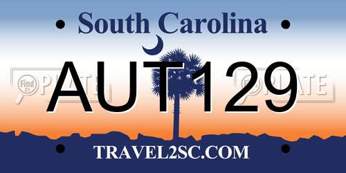 AUT129 South Carolina License Plate