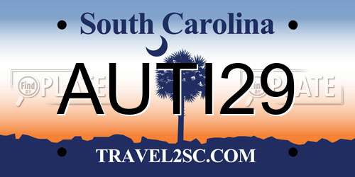 AUTI29 South Carolina License Plate