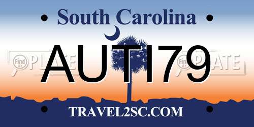 AUTI79 South Carolina License Plate