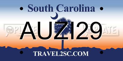 AUZI29 South Carolina License Plate
