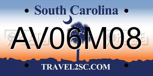 AV06M08 South Carolina License Plate