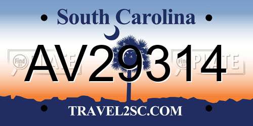 AV29314 South Carolina License Plate