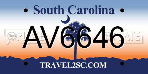 AV6646 South Carolina License Plate