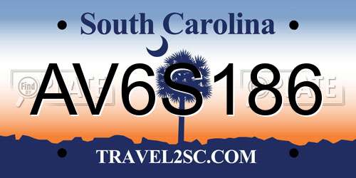 AV6S186 South Carolina License Plate