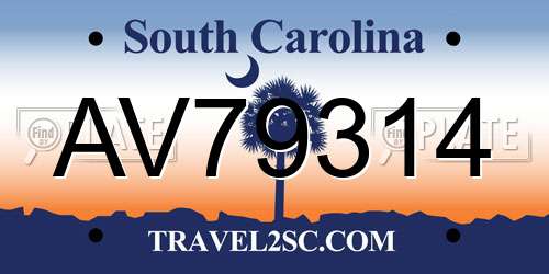 AV79314 South Carolina License Plate