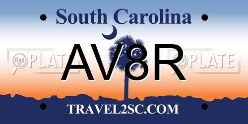 AV8R South Carolina License Plate