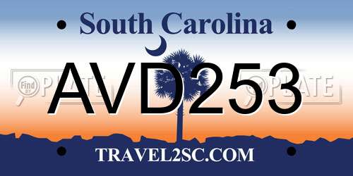 AVD253 South Carolina License Plate