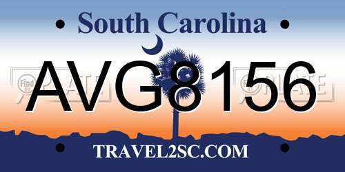 AVG8156 South Carolina License Plate