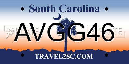 AVGG46 South Carolina License Plate